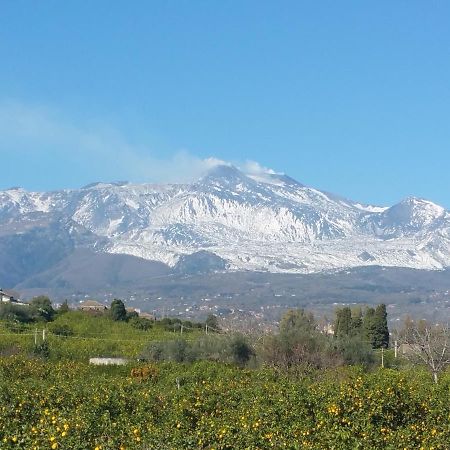 דירות מסקלי Tulipano 7 מראה חיצוני תמונה