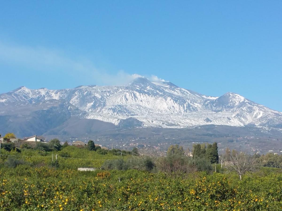 דירות מסקלי Tulipano 7 מראה חיצוני תמונה